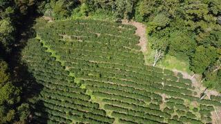 CAFÉ ARRIBA EN EL CIELO