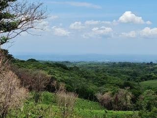 FINCA DE CAFÉ CON ESPECTACULAR VISTA DEL OCEANO