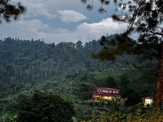 Finca de Cafe Tasa de la Excelencia!!!