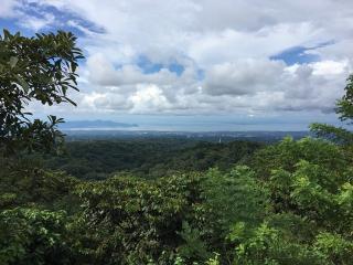 FINCA – DESARROLLO – HACIENDA DE CAFÉ EN EL CRUCERO