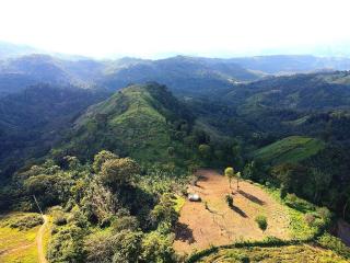 ESPECTACULARES TIERRAS CON VISTAS - CAFE