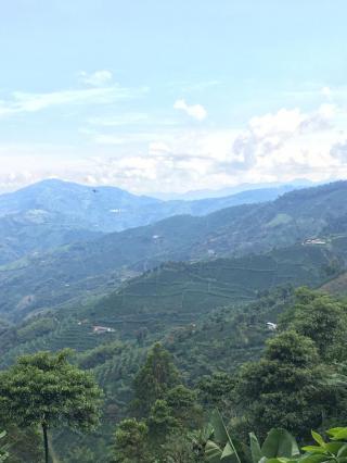 ¡¡¡ FINCA DE CAFE – SATUARIO, RISARALDA!!!