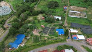 NACIMIENTO DE VARIEDADES DE CAFÉ - COSTA RICA 