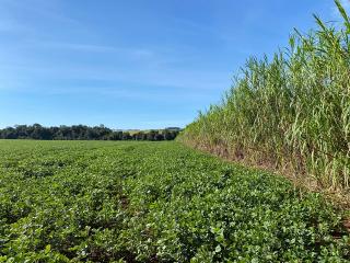 FINCA PARA SERVICIOS AMBIENTALES EN VENTA EN PARAGUAY!!!